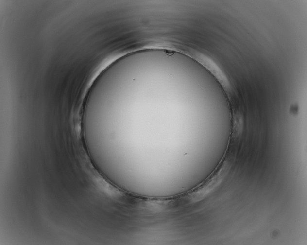 X0000101680908200807241342