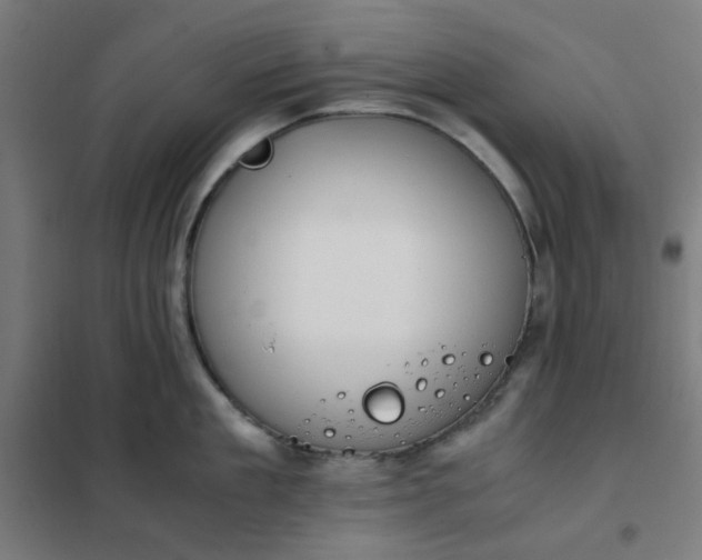 X0000101680909200807241342