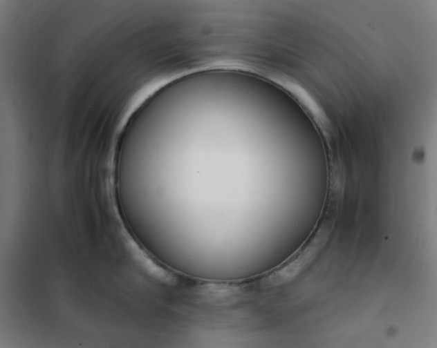 X0000101680910200807241342