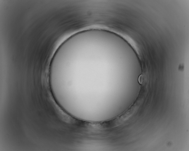 X0000101680911200807241342