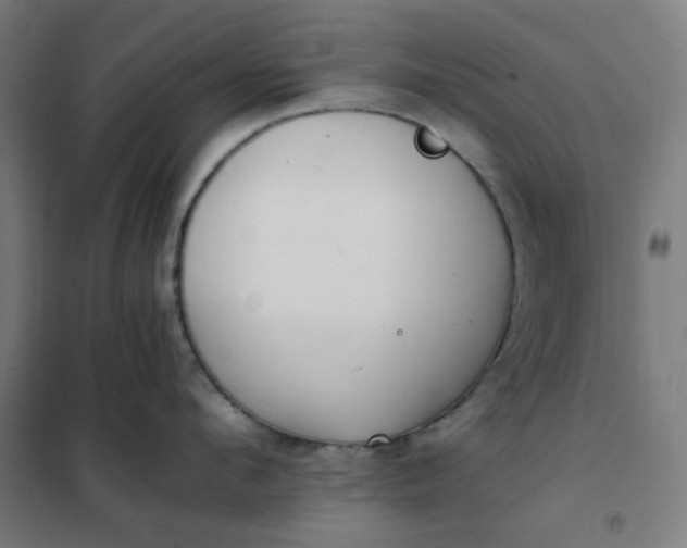 X0000101680912200807241342