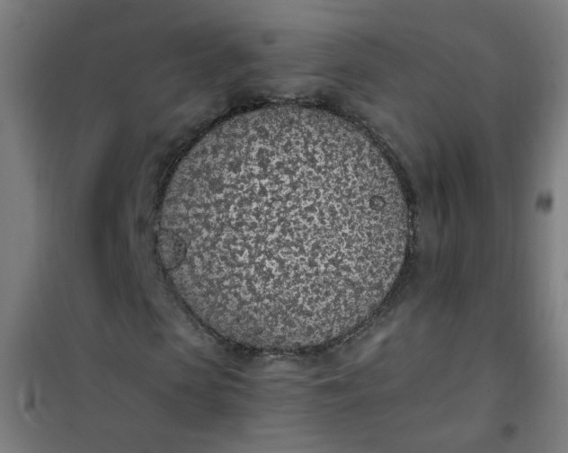 X0000101680913200807241342