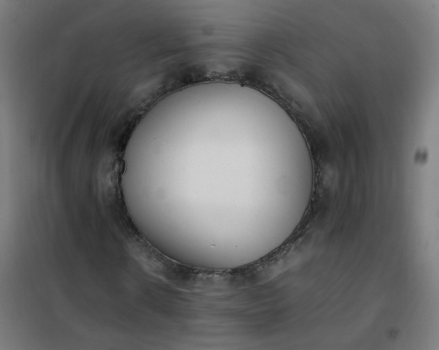 X0000101680914200807241342