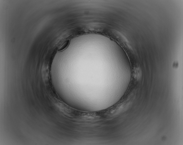 X0000101680915200807241342