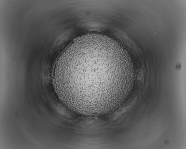 X0000101680916200807241342