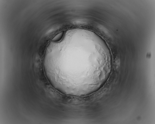 X0000101680917200807241342