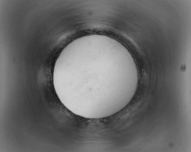 X0000101680918200807241342