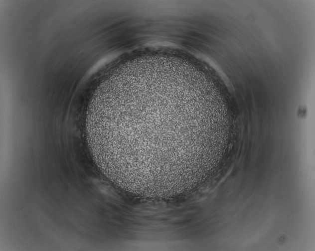 X0000101680919200807241342