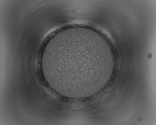 X0000101680920200807241342