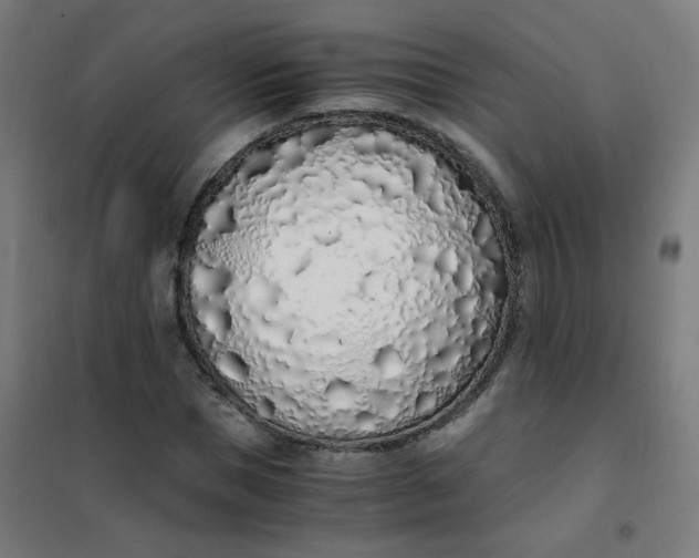 X0000101680921200807241342