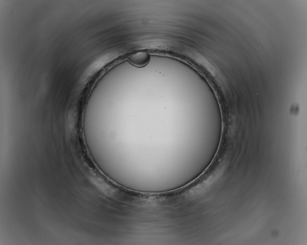 X0000101680922200807241342