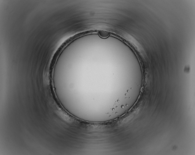 X0000101680924200807241342