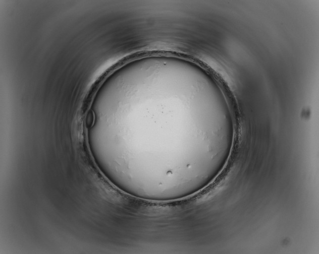 X0000101680925200807241342