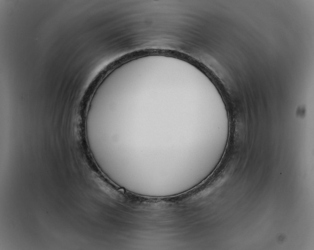 X0000101680926200807241342