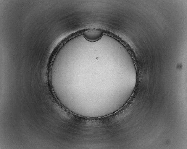 X0000101680927200807241342