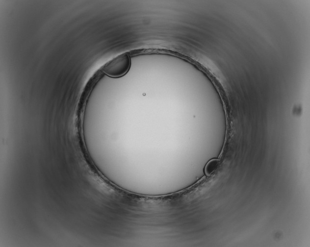 X0000101680928200807241342