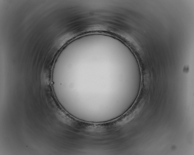 X0000101680929200807241342