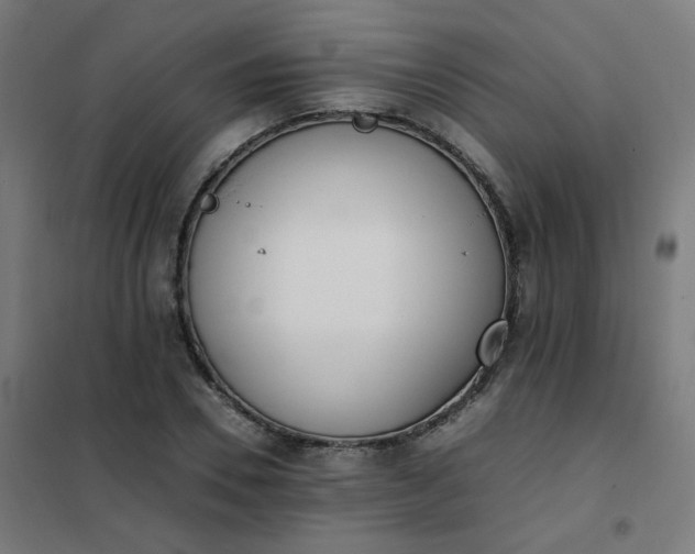 X0000101680930200807241342