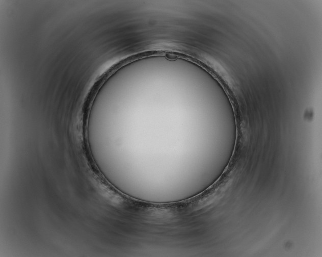 X0000101680931200807241342