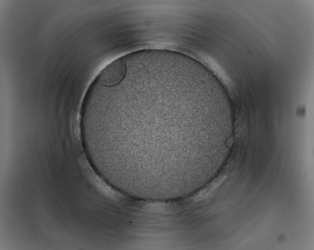 X0000101680932200807241342