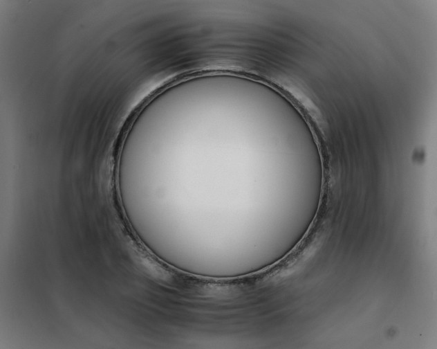 X0000101680933200807241342