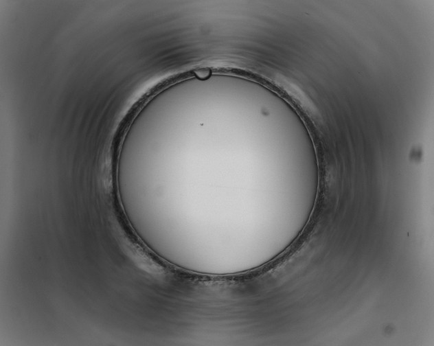 X0000101680934200807241342