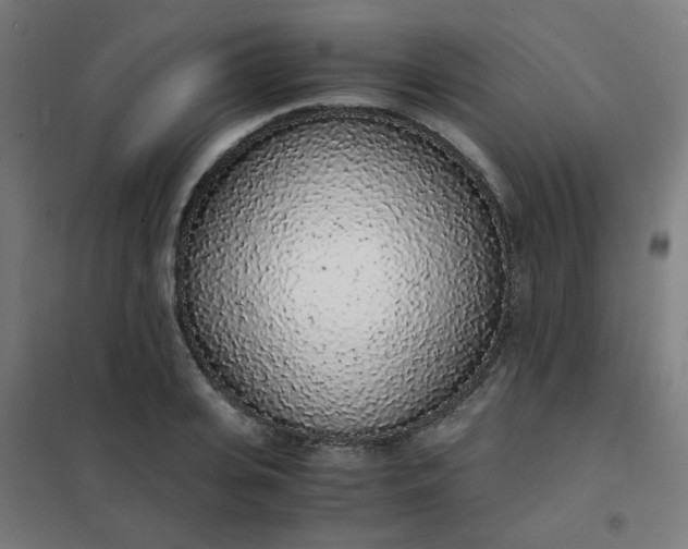 X0000101680935200807241342