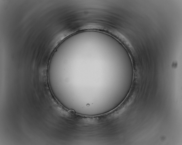 X0000101680937200807241342