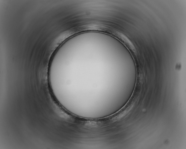 X0000101680938200807241342