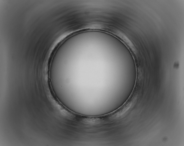 X0000101680939200807241342