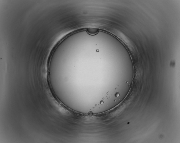 X0000101680940200807241342