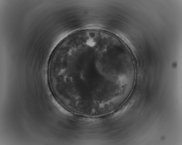 X0000101680941200807241342