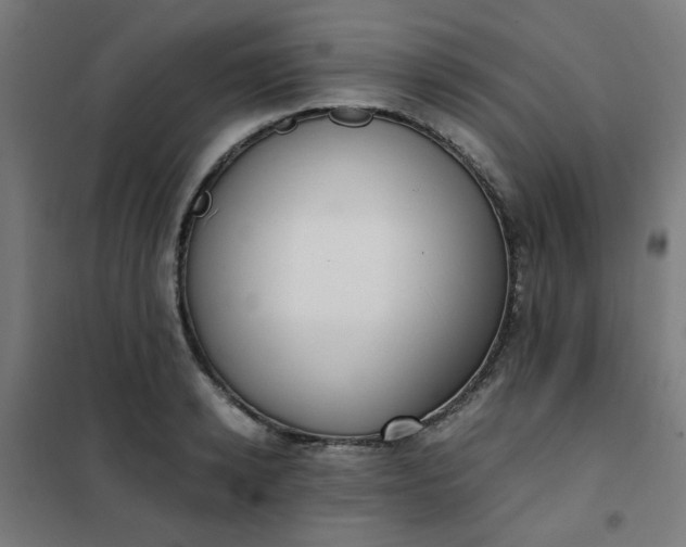 X0000101680942200807241342