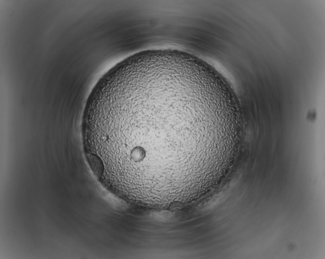 X0000101680943200807241342