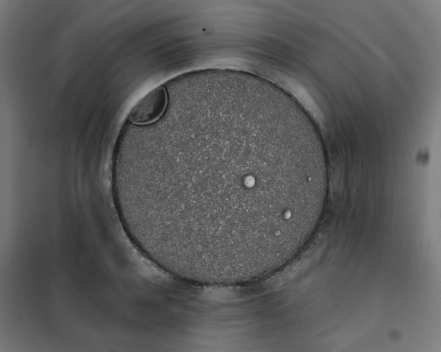 X0000101680944200807241342