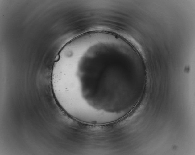 X0000101680945200807241342