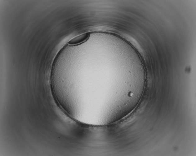 X0000101680946200807241342