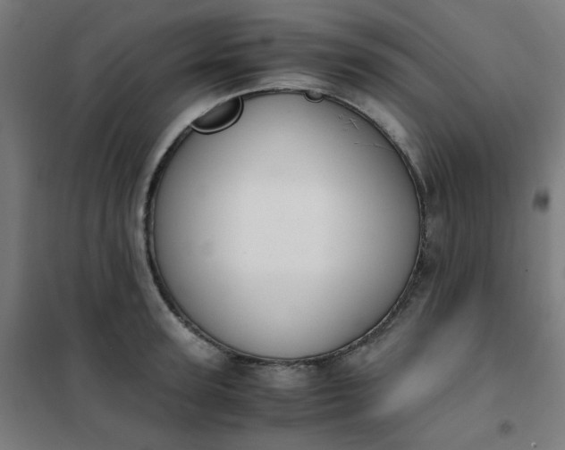 X0000101680947200807241342