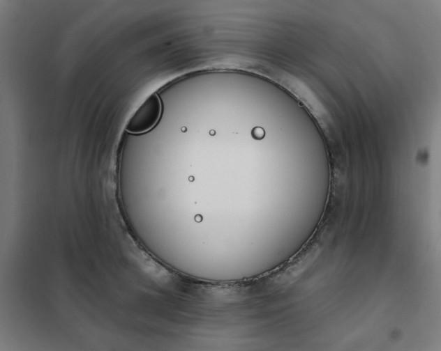 X0000101680948200807241342