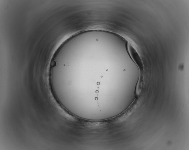 X0000101680949200807241342