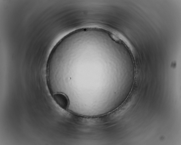 X0000101680951200807241342