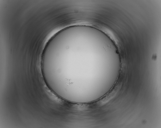 X0000101680952200807241342