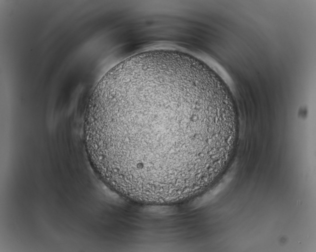 X0000101680953200807241342