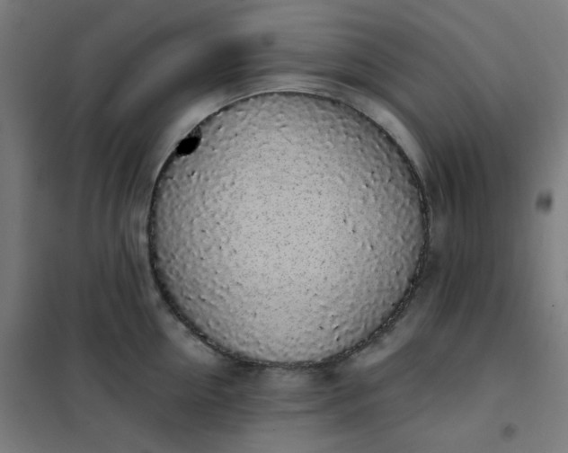 X0000101680954200807241342