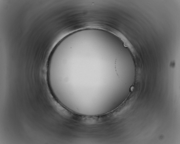 X0000101680955200807241342