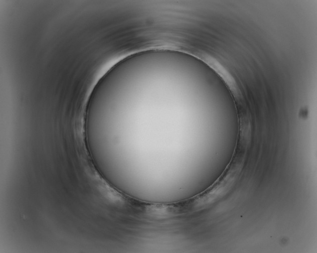 X0000101680956200807241342