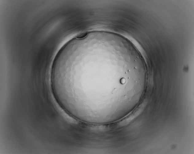 X0000101680957200807241342