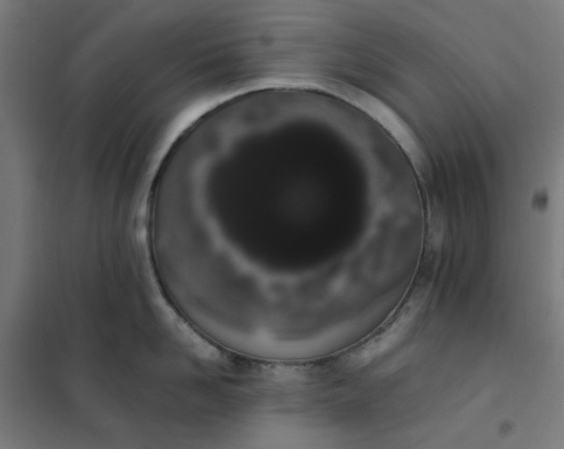 X0000101680958200807241342