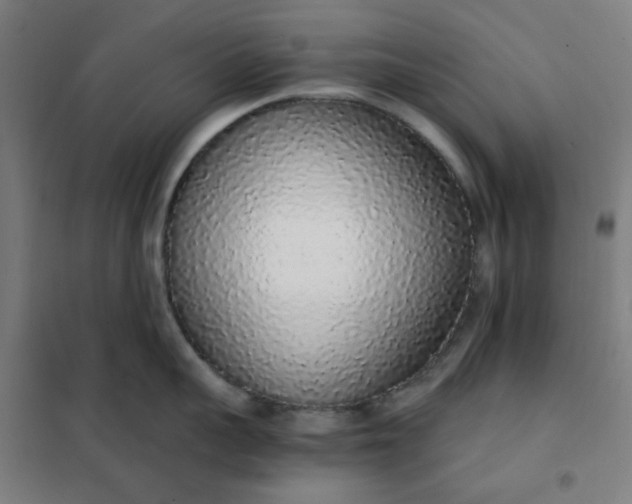 X0000101680959200807241342