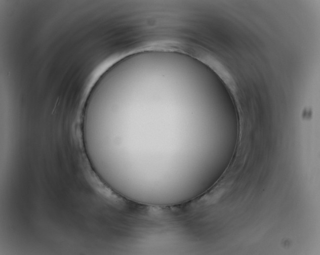 X0000101680960200807241342